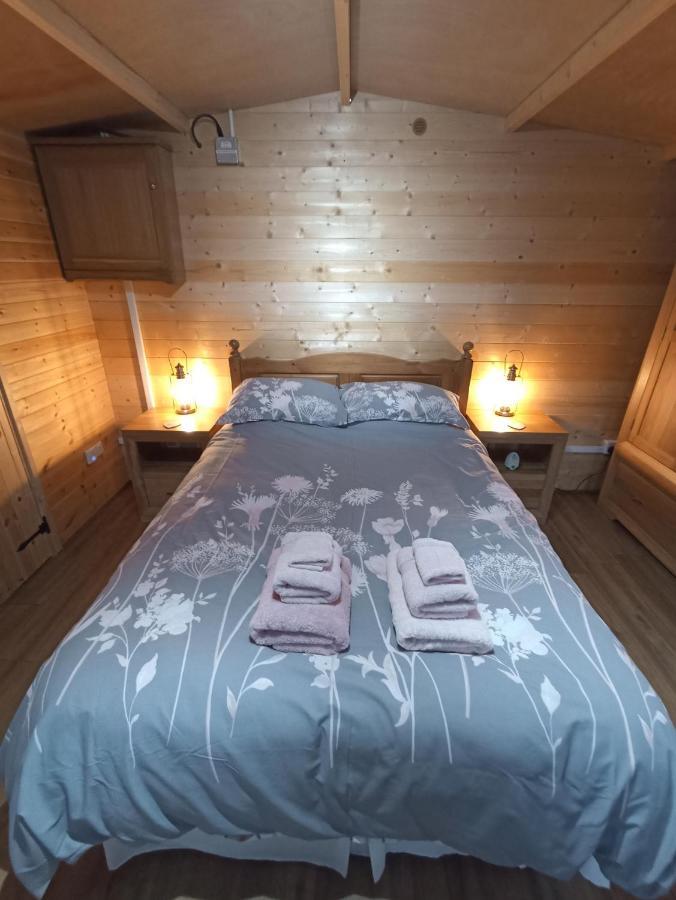Cosy Cabin ستوك المظهر الخارجي الصورة
